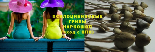 каннабис Гусиноозёрск