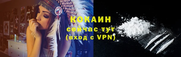 эйфоретик Гусев