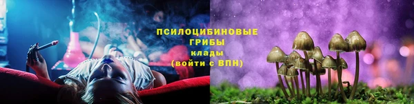 винт Дмитриев