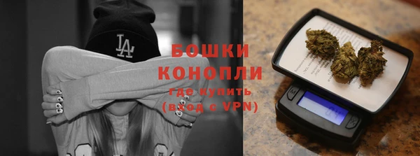 эйфоретик Гусев