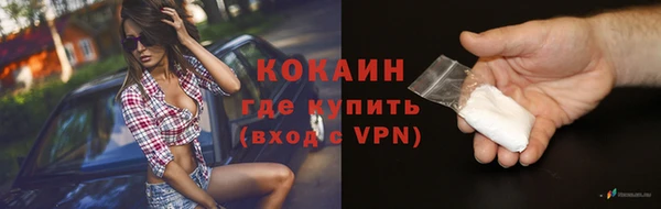 хмурый Гусь-Хрустальный