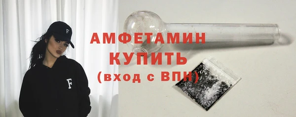 хмурый Гусь-Хрустальный