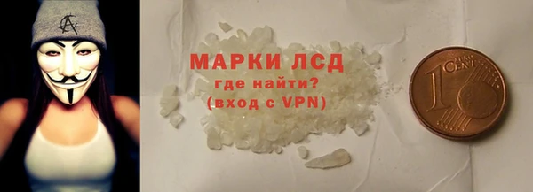 хмурый Гусь-Хрустальный