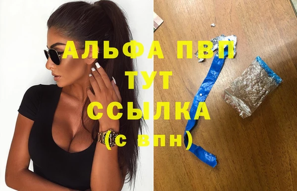 хмурый Гусь-Хрустальный