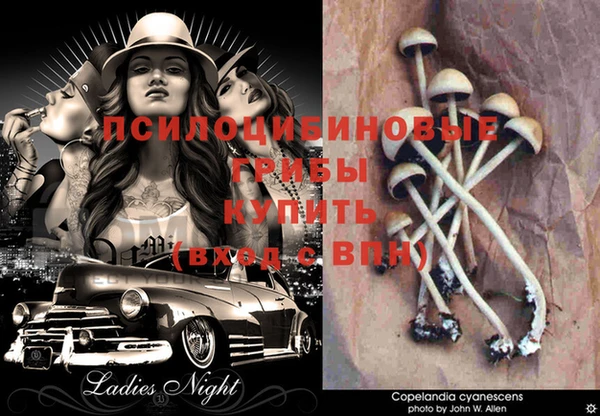 винт Дмитриев