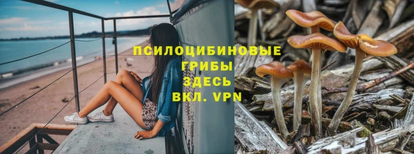 каннабис Гусиноозёрск
