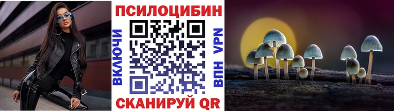 что такое Буй Галлюциногенные грибы Psilocybine cubensis